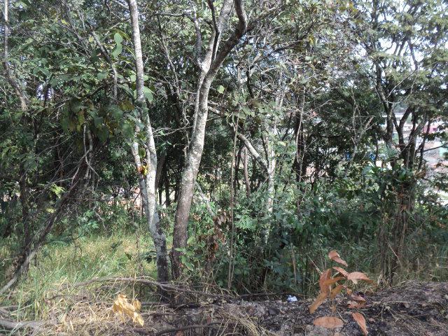 Lote, Novo Retiro, 0 Quarto, 0 Vaga