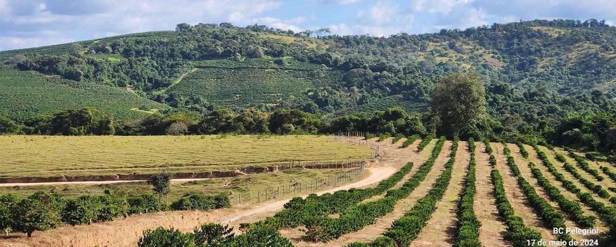 Fazenda, Zona Rural, 9 Quartos, 0 Vaga, 5 Suítes