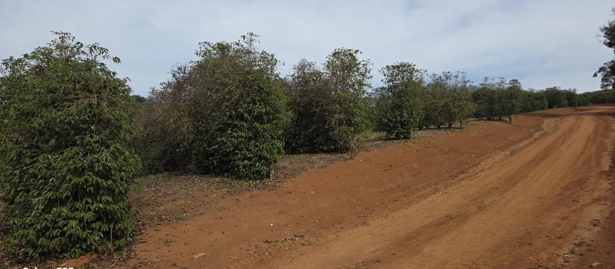 Fazenda, Zona Rural, 0 Quarto, 0 Vaga