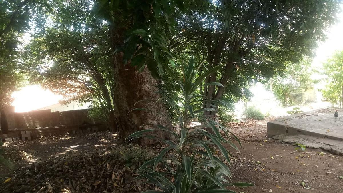 Casa, Centro, 3 Quartos, 2 Vagas