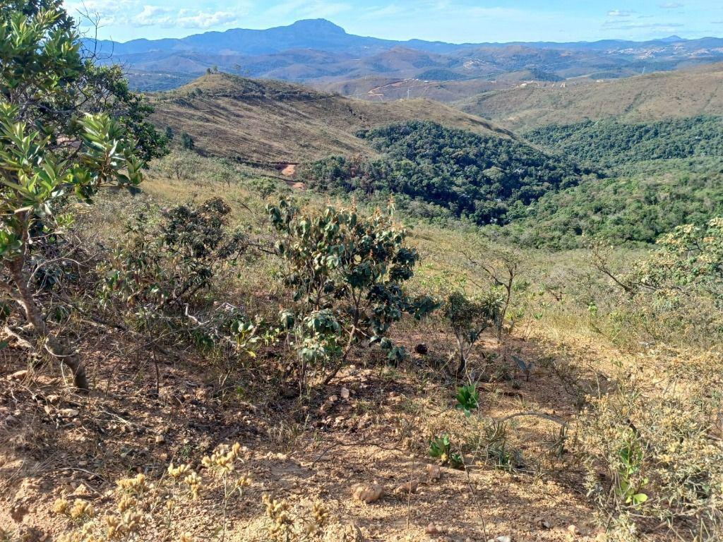 Lote, Morro Vermelho, 0 Quarto, 0 Vaga