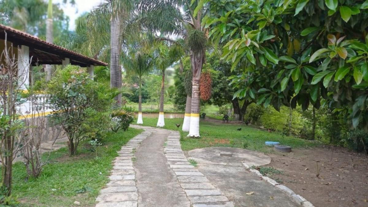 Fazenda, Centro, 6 Quartos, 3 Vagas