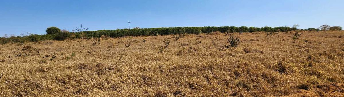 Fazenda, Zona Rural, 4 Quartos, 0 Vaga