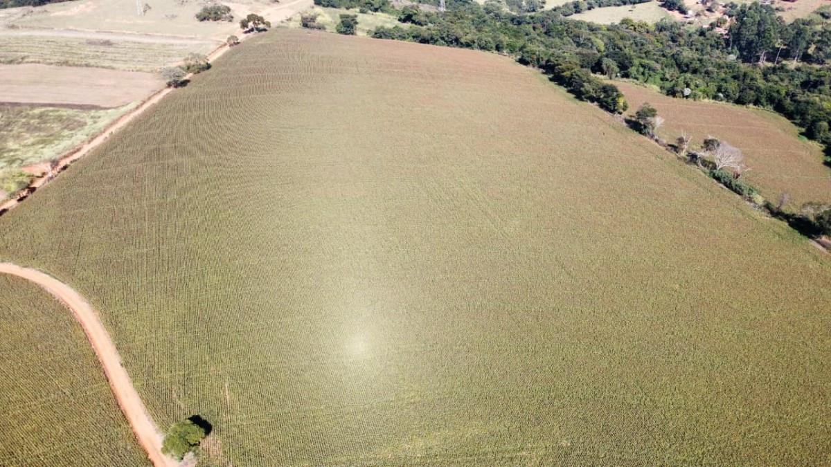 Fazenda, Centro, 0 Quarto, 0 Vaga