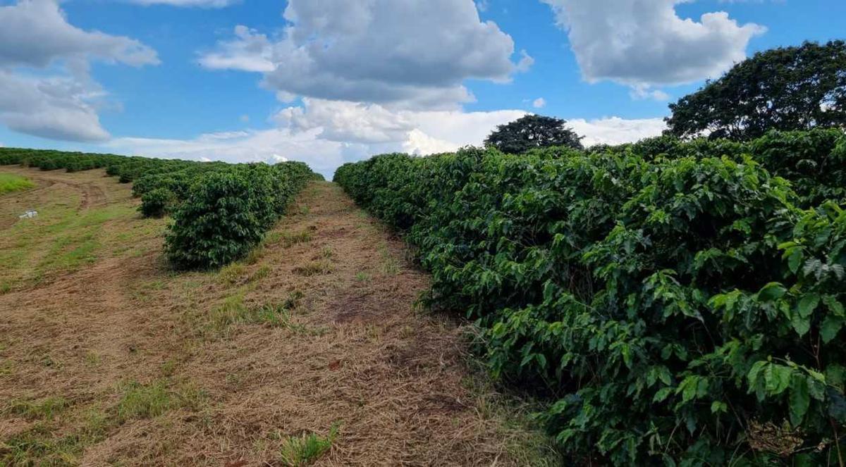 Fazenda, Zona Rural, 2 Quartos, 0 Vaga