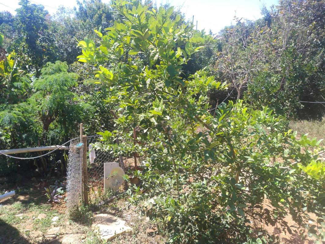 Fazenda, São Jose de Almeida, 3 Quartos, 2 Vagas