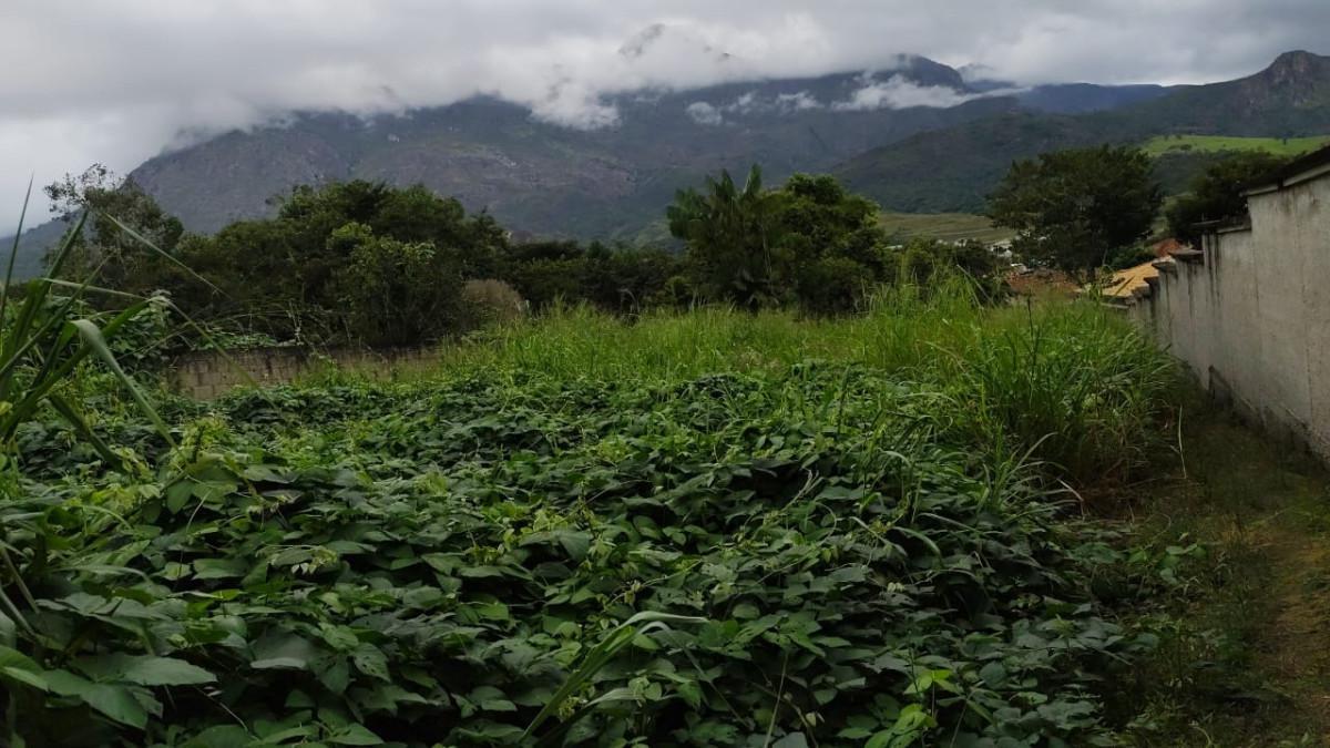 Lote, Centro, 0 Quarto, 0 Vaga