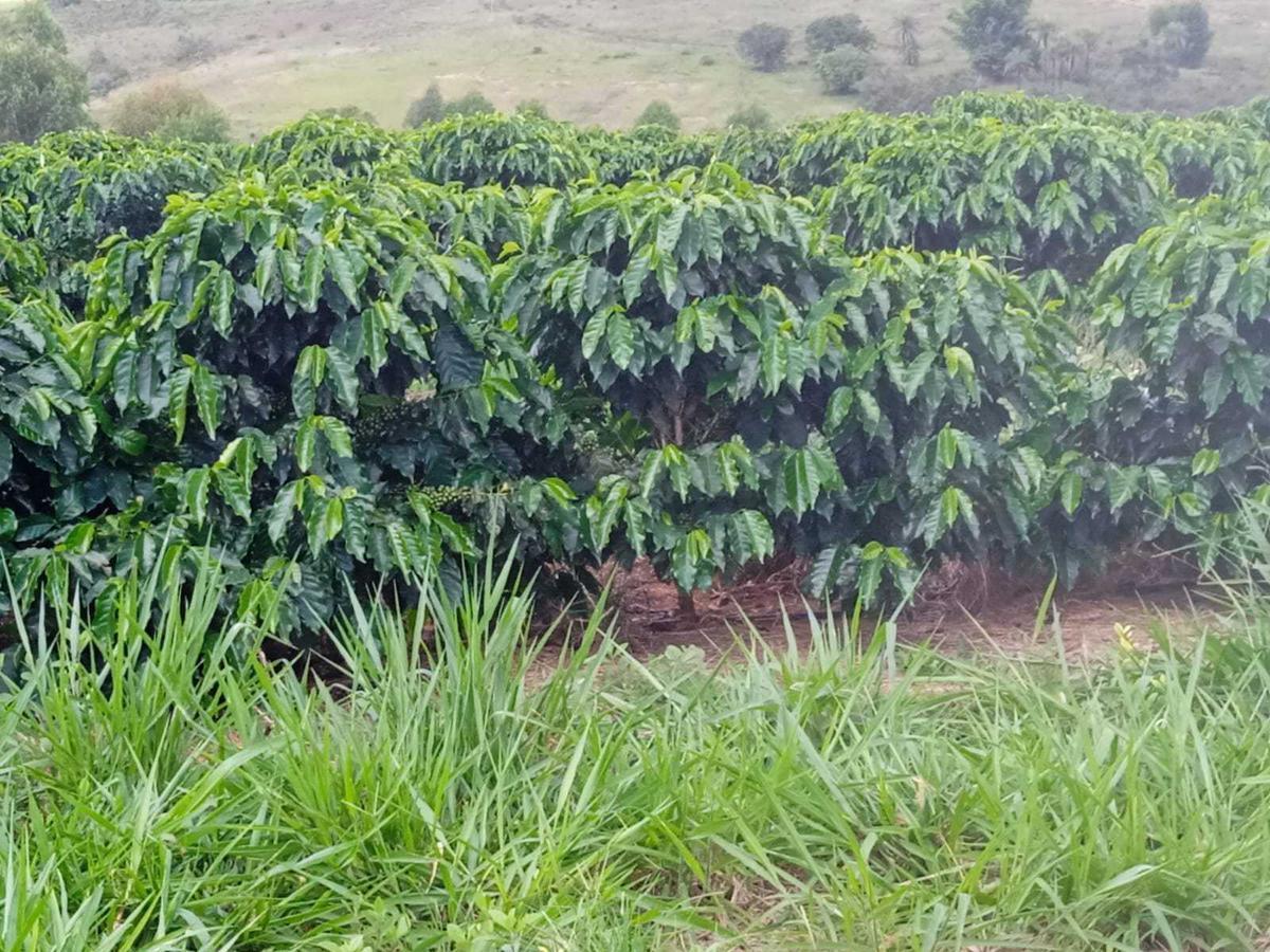 Fazenda, Zona Rural, 2 Quartos, 0 Vaga