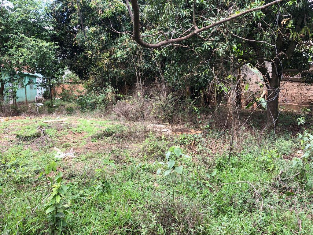 Lote, Santo Antônio (roça Grande), 0 Quarto, 0 Vaga