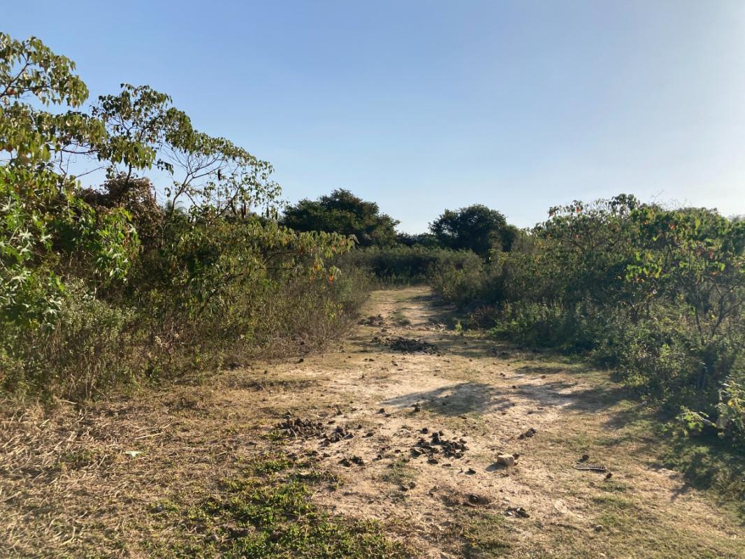 Lote, Santinho, 0 Quarto, 0 Vaga