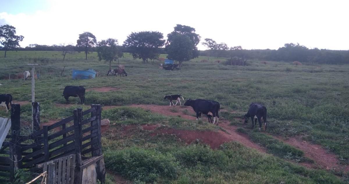 Fazenda, Zona Rural, 0 Quarto, 0 Vaga