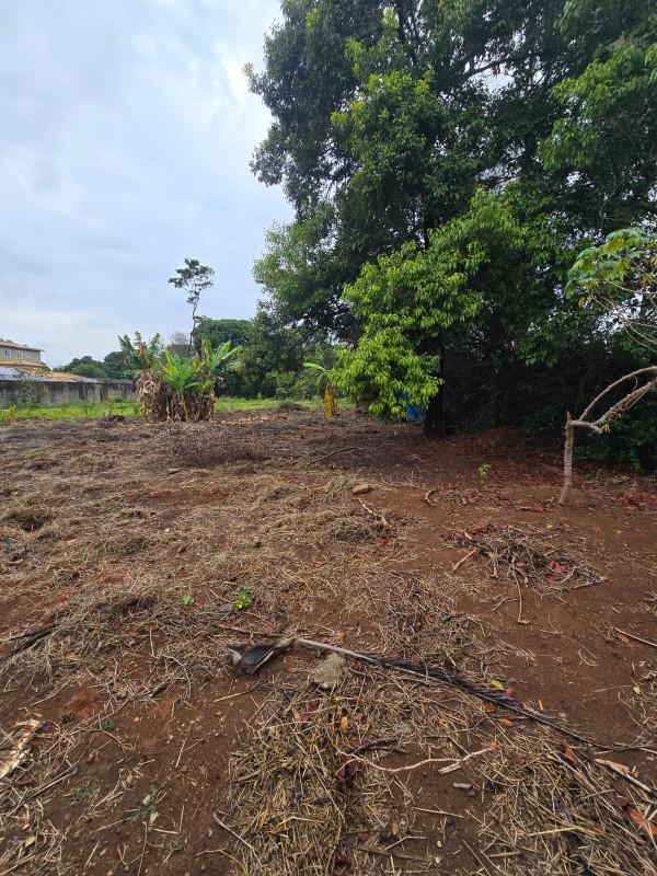 Casa, Chácara Novo Horizonte, 2 Quartos, 10 Vagas