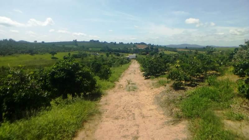 Fazenda, Zona Rural, 0 Quarto, 0 Vaga