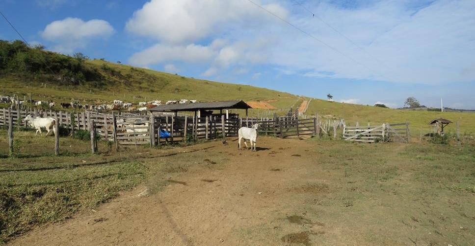 Fazenda, Zona Rural, 3 Quartos, 1 Vaga, 1 Suíte