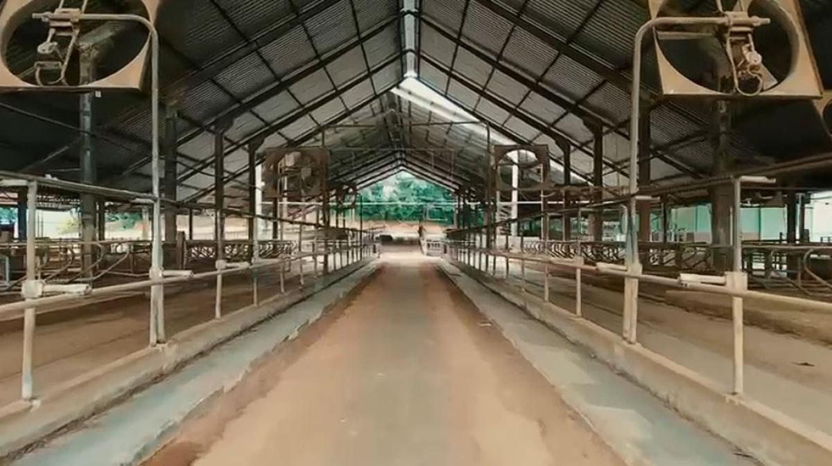 Fazenda, Zona Rural, 0 Quarto, 0 Vaga