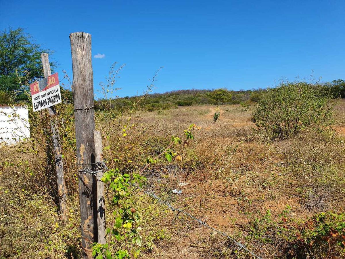 Fazenda, Centro, 0 Quarto, 0 Vaga
