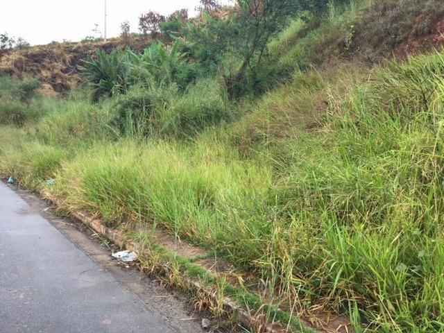 Lote, São Damião, 0 Quarto, 0 Vaga