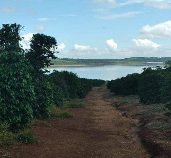 Fazenda, Zona Rural, 1 Quarto, 0 Vaga