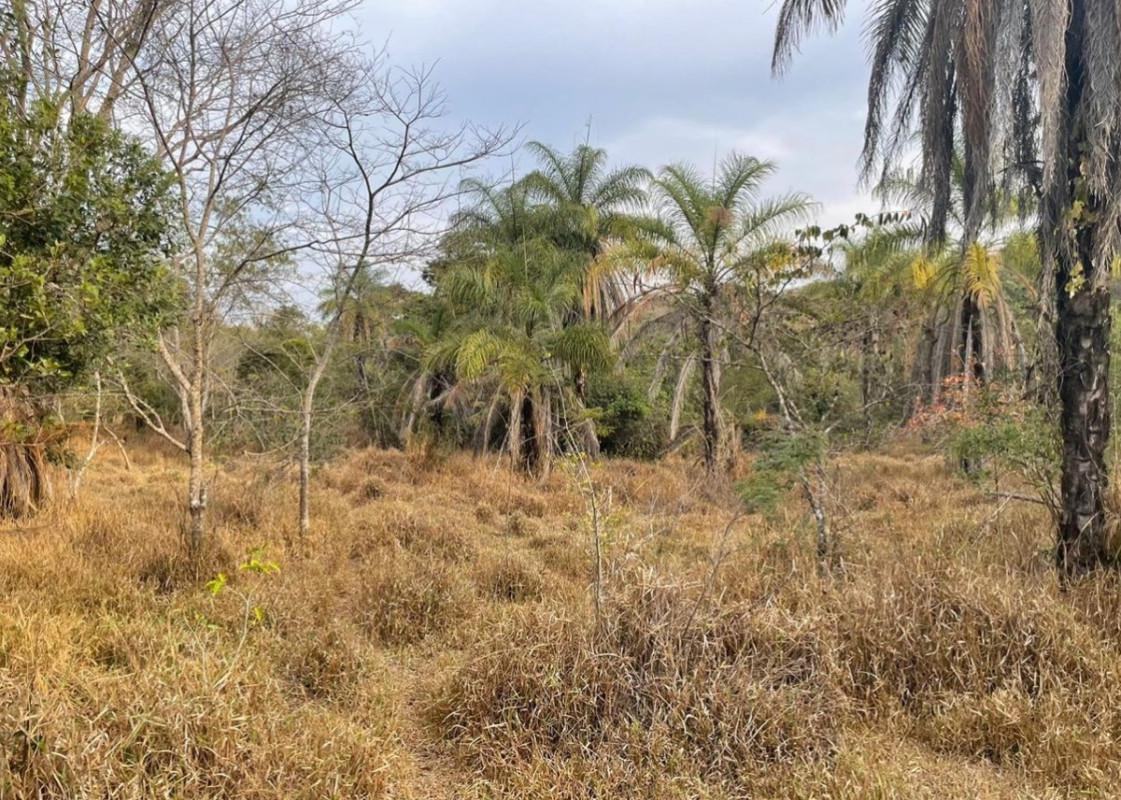 Fazenda, Área Rural de Pará de Minas, 0 Quarto, 0 Vaga