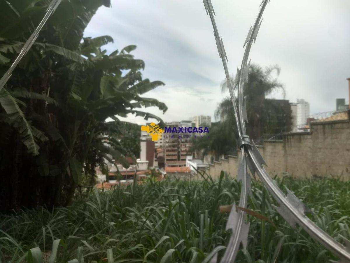 Lote, São Luiz (pampulha), 0 Quarto, 0 Vaga