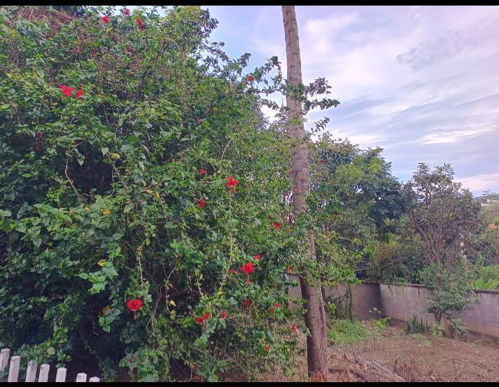 Lote, Granja Vista Alegre, 0 Quarto, 0 Vaga