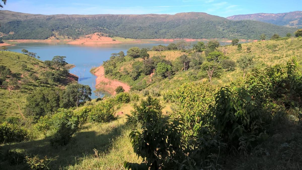 Fazenda, Zona Rural