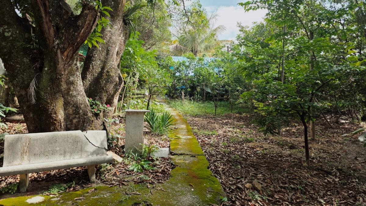 Fazenda, Chácaras Reunidas Santa Terezinha, 2 Quartos, 8 Vagas