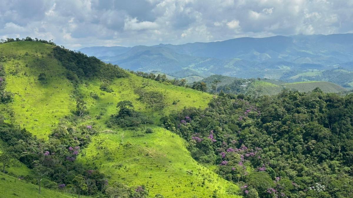 Fazenda, Zona Rural, 0 Quarto, 0 Vaga