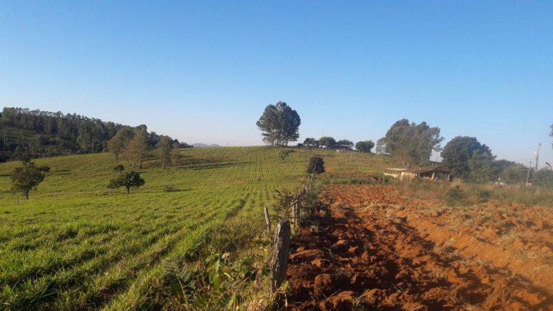 Fazenda, Centro, 0 Quarto, 0 Vaga