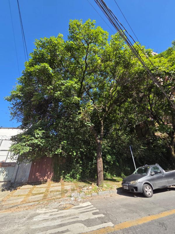 Lote, Ouro Preto, 0 Quarto, 0 Vaga