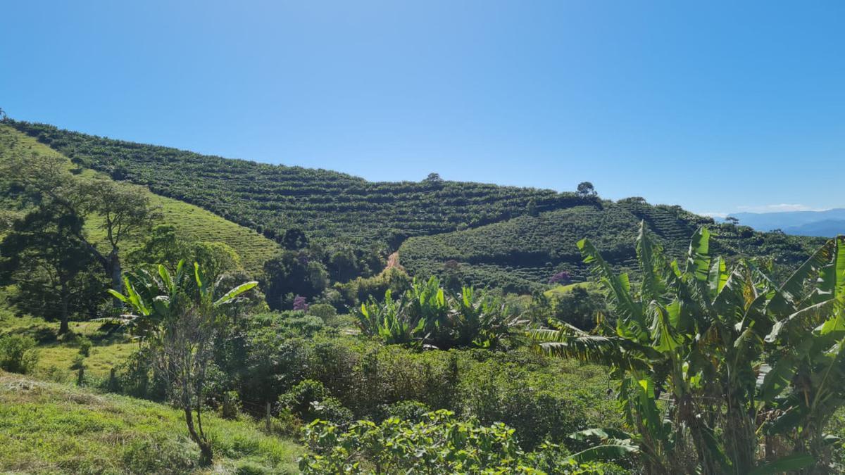 Fazenda, Centro, 3 Quartos, 1 Vaga