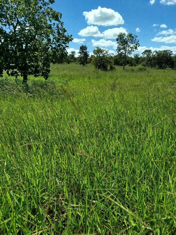 Fazenda, Zona Rural, 0 Quarto, 0 Vaga