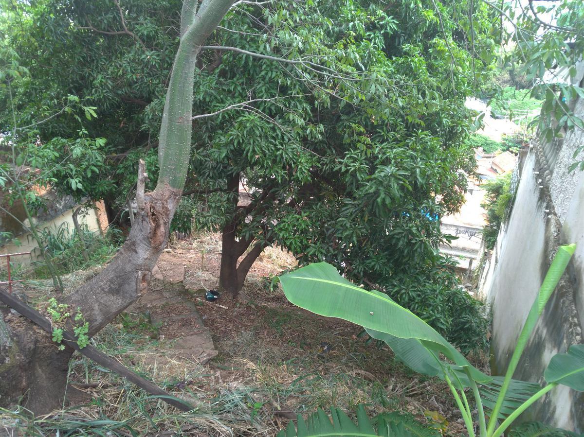 Lote, Graça, 0 Quarto, 0 Vaga