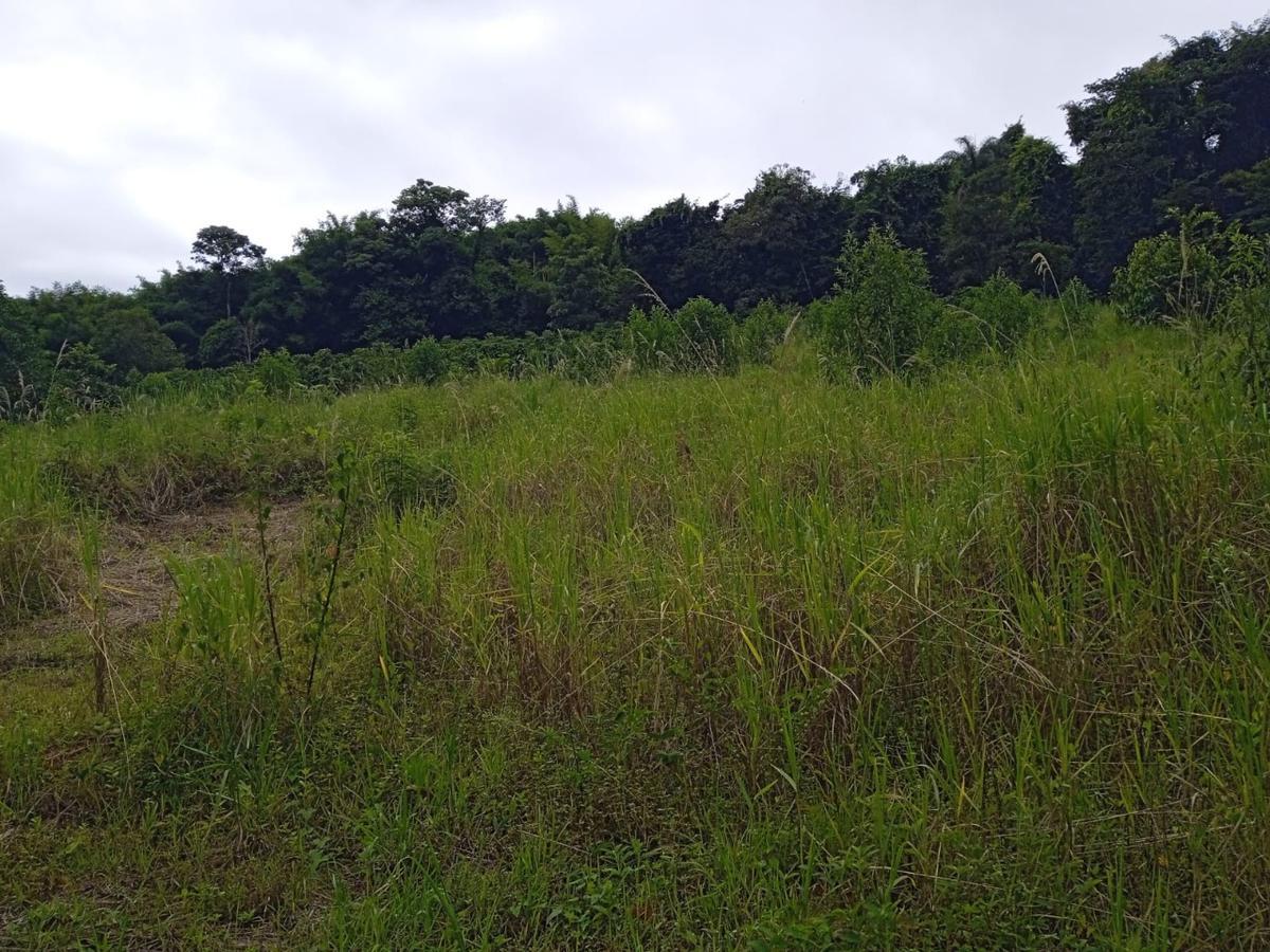 Fazenda, Zona Rural, 0 Quarto, 0 Vaga