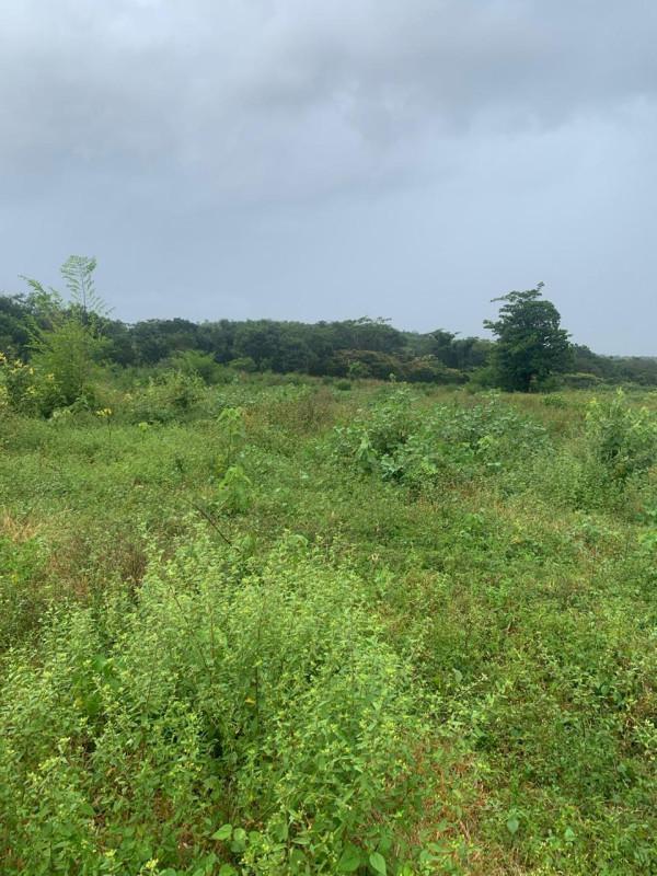 Fazenda, Zona Rural, 0 Quarto, 0 Vaga