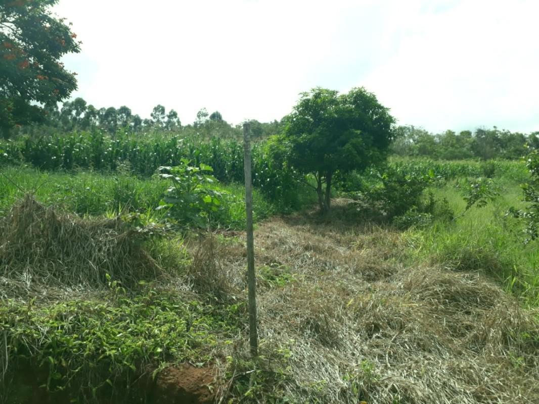 Fazenda, Zona Rural, 0 Quarto, 0 Vaga