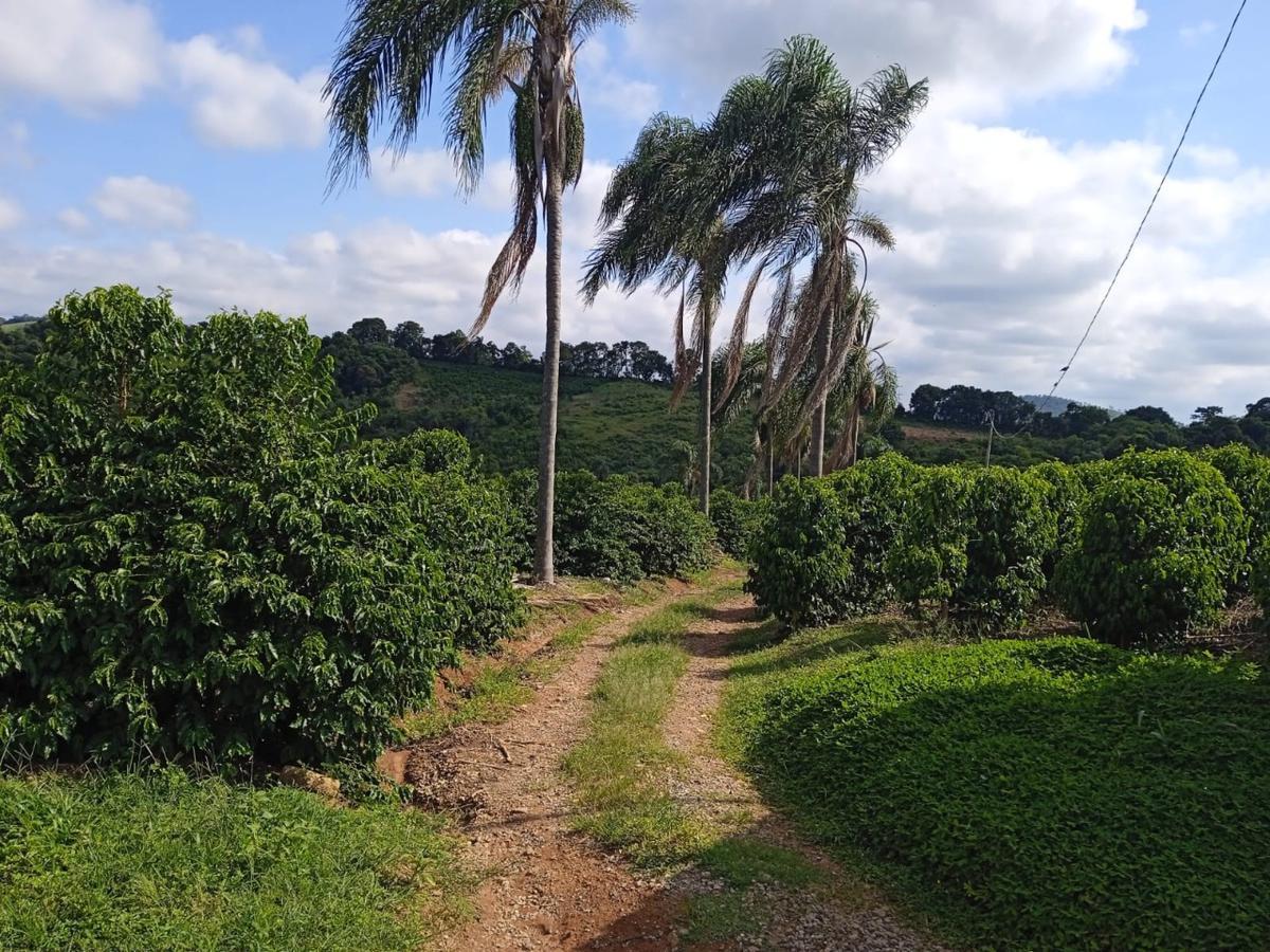 Fazenda, Zona Rural, 0 Quarto, 0 Vaga