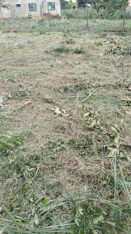 Lote, Zona Rural, 0 Quarto, 0 Vaga