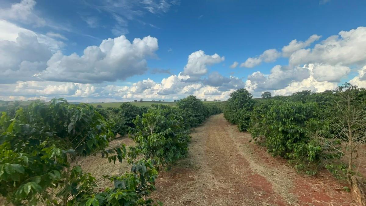 Fazenda, Zona Rural, 0 Quarto, 0 Vaga