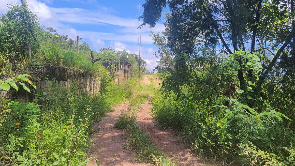 Lote, Nossa Senhora de Fátima, 0 Quarto, 0 Vaga
