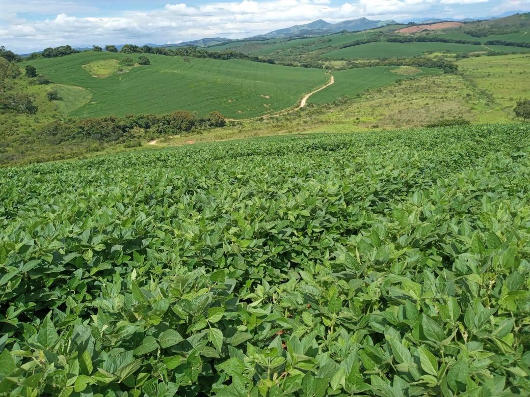 Fazenda, Zona Rural, 6 Quartos, 0 Vaga, 2 Suítes