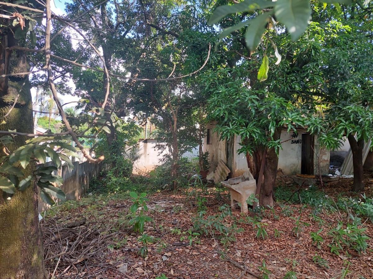 Lote, Ouro Preto, 0 Quarto, 0 Vaga