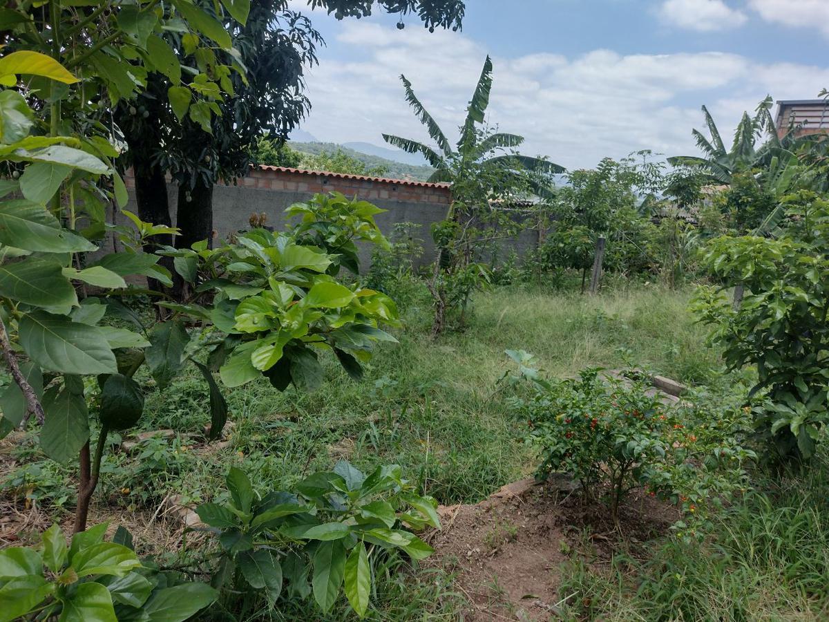 Lote, São João, 0 Quarto, 2 Vagas