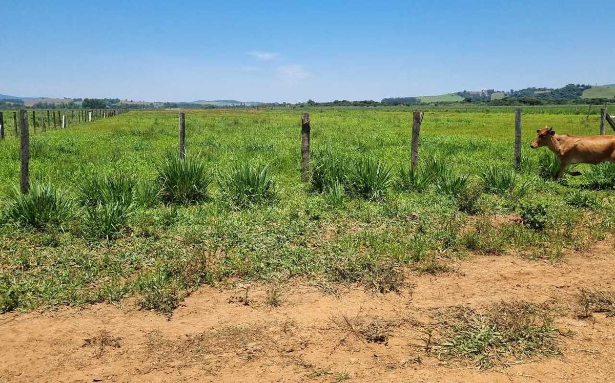 Fazenda, Centro, 0 Quarto, 0 Vaga