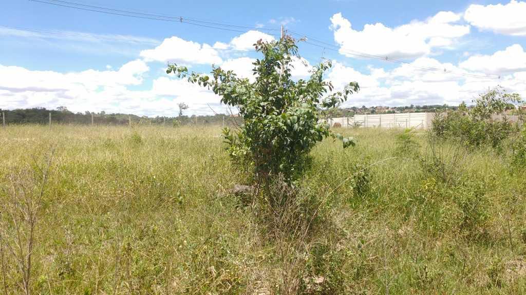 Lote, Novo Retiro, 0 Quarto, 0 Vaga