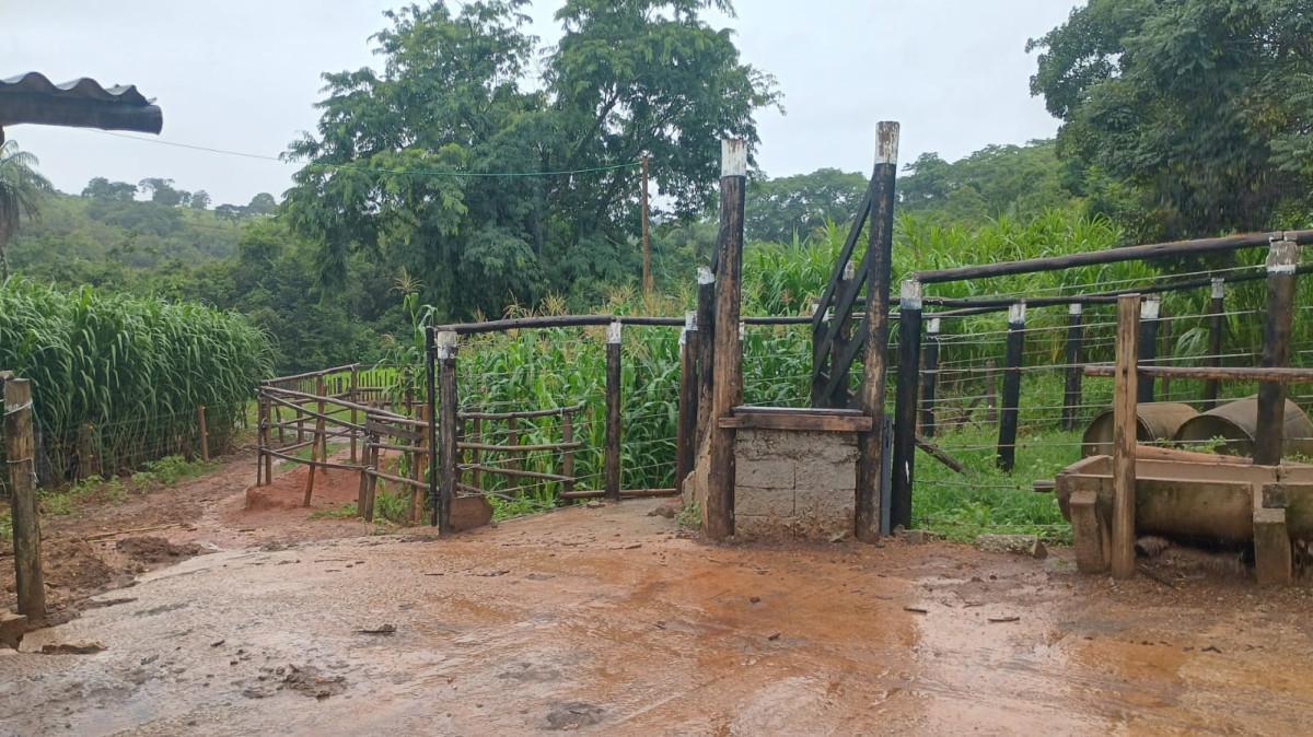 Fazenda, Centro, 3 Quartos, 100 Vagas