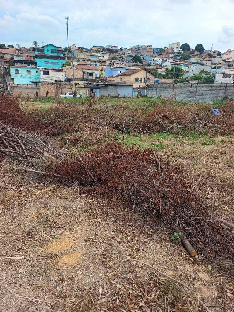 Lote, Fonte Grande, 0 Quarto, 0 Vaga