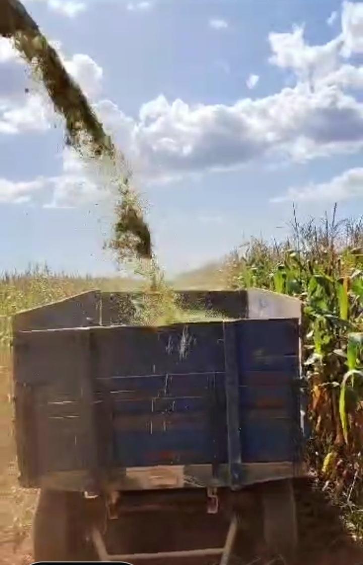 Fazenda, Zona Rural, 0 Quarto, 0 Vaga