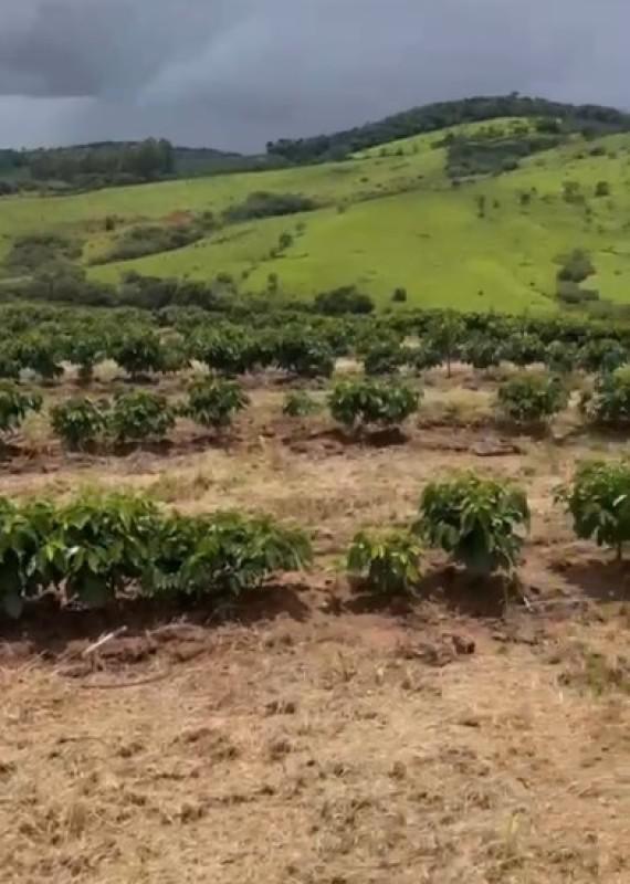 Fazenda, Zona Rural, 0 Quarto, 0 Vaga