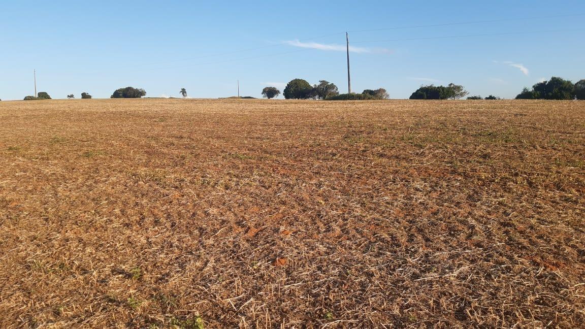Fazenda, Zona Rural, 3 Quartos, 1 Vaga, 1 Suíte